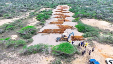 PNB inutiliza una pista de aterrizaje clandestina en Falcón