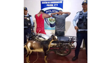 Detienen a dos hombres por robo de cabra en Falcón