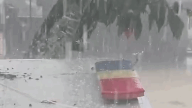 Reportan caída de granizo en Galipán