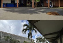 Decano de la UPEL: el 75 % de los estudiantes recibirán clases en los edificios de posgrado