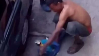 La Fiscalía investiga la supuesta comercialización de guacamayas en Caracas tras un video viral