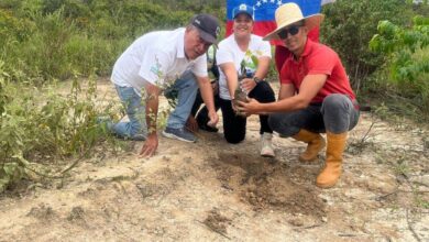 Como parte del plan Ecosocialista, plantan 42 mil árboles para recuperar áreas degradadas del país