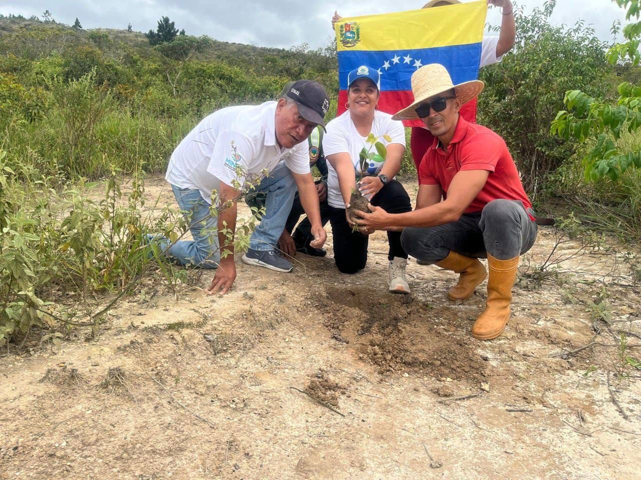 Como parte del plan Ecosocialista, plantan 42 mil árboles para recuperar áreas degradadas del país
