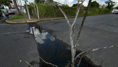 Siguen sin atención alcantarilla tapada en la avenida La Paz con calle Santo Domingo en Maturín