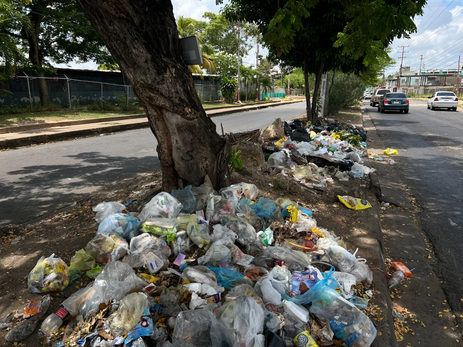 Vecinos de los Guaritos IV piden contenedores de basura para eliminar vertederos improvisados