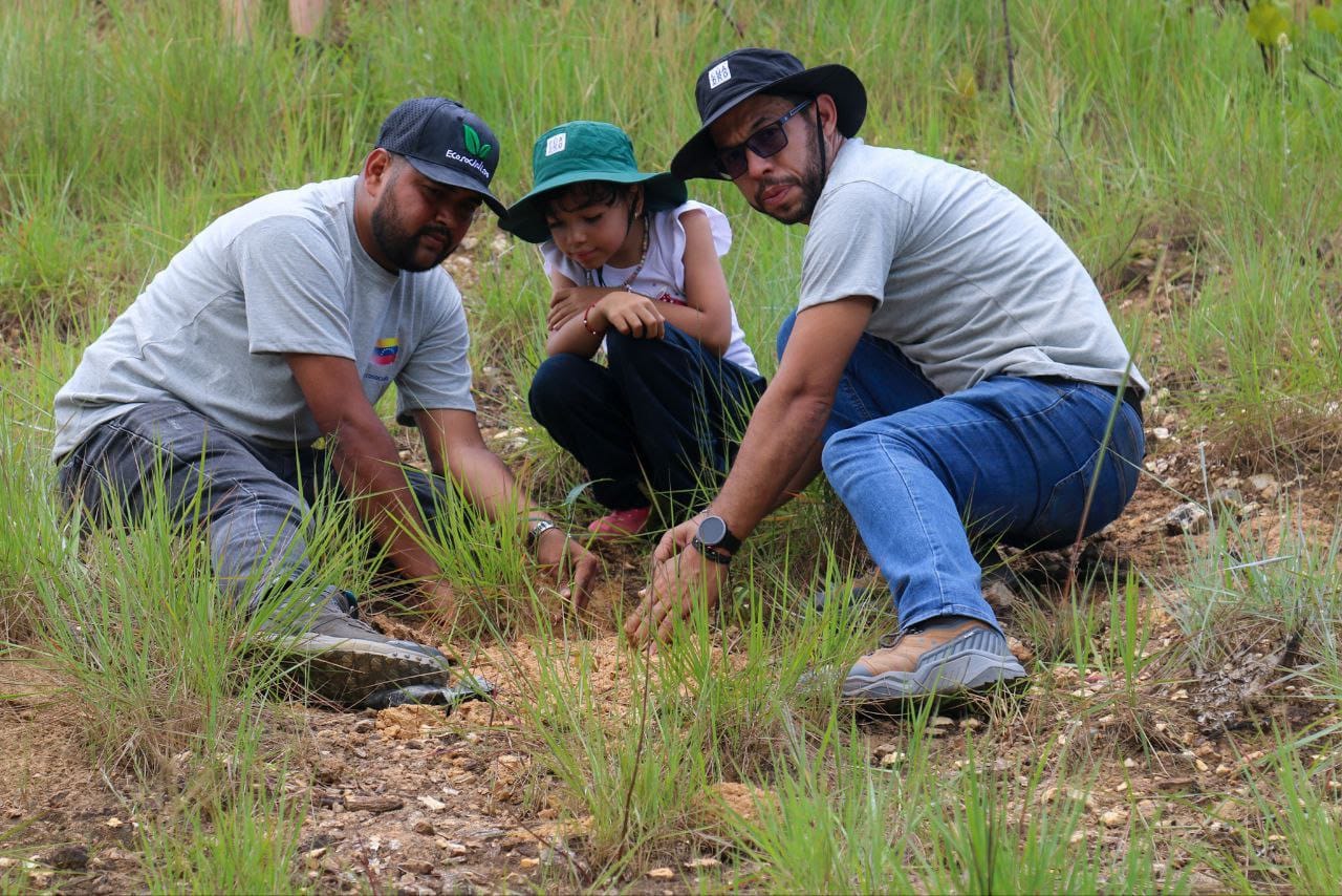 Jóvenes venezolanos siembran más de 56 mil árboles en una jornada de reforestación nacional
