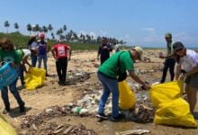 Para proteger los ecosistemas marinos, el Ministerio de Ecosocialismo activa un comité operativo en las zonas costeras