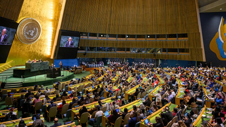 La ONU apoya por unanimidad de la mayoría el reconocimiento de un Estado palestino