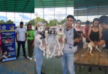 Exitosa jornada de salud animal y derechos de las mascotas en Las Carolinas