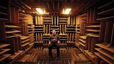 El silencio que enloquece: ¿Por qué nadie puede estar más de 45 minutos en la cámara más silenciosa del mundo?