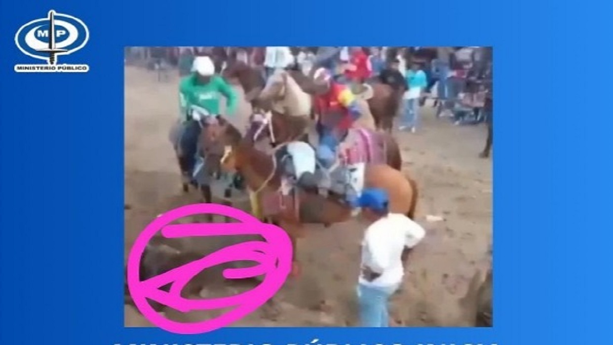 Abren investigación penal contra sujetos que agredieron brutalmente a un toro en Lara