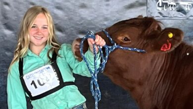 Una bala destinada a un pájaro termina con la vida de una adolescente de 14 años en Illinois, EE. UU.