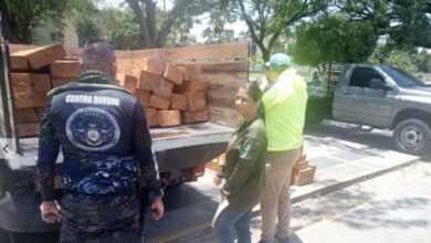 Siete detenidos y madera ilegal incautada en operativos contra la tala en Mérida