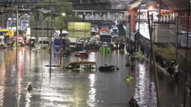 Precipitaciones dejan caos, árboles caídos y cientos de hogares afectados en México