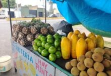 Padres priorizan frutas en meriendas escolares para sus hijos a pesar del alto precio.