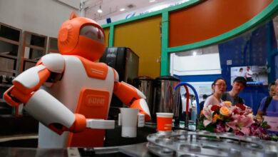 China lanza un servicio de entrega con un perro robot que transporta y un humanoide que saluda