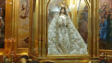 La Virgen del Valle será adornada con 4.000 orquídeas blancas para su celebración en Margarita