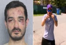 Ladrón de casas en Florida fue noqueado por un luchador de MMA