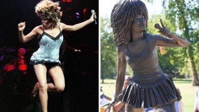 Furia en redes por la estatua de Tina Turner en su ciudad natal: "Esto es Temu Turner"