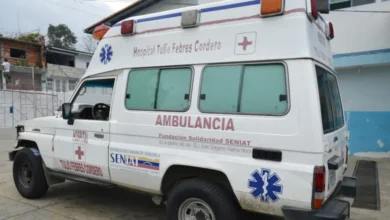 Hombre de 42 años muere de forma instantánea tras caerle un árbol encima