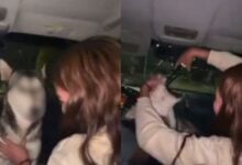Piden justicia tras video de jóvenes forzando a una perrita a tomar alcohol