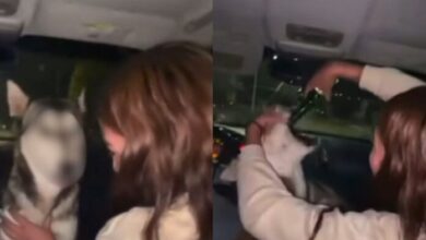 Piden justicia tras video de jóvenes forzando a una perrita a tomar alcohol
