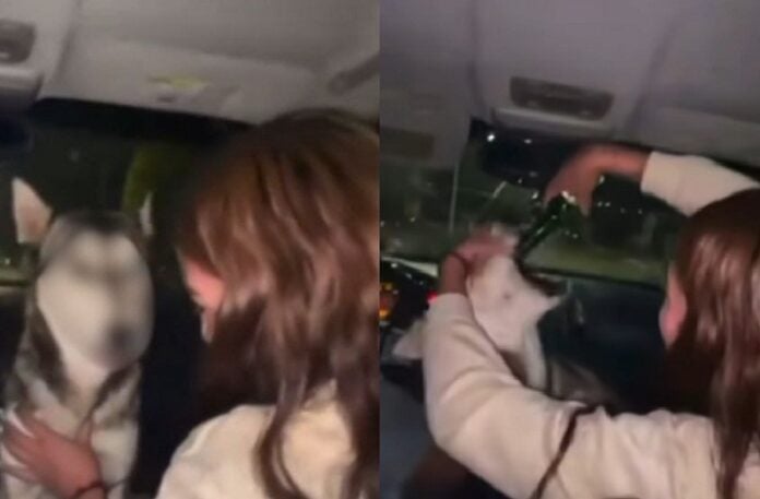 Piden justicia tras video de jóvenes forzando a una perrita a tomar alcohol