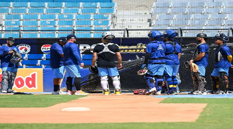 Magallanes recibe a su primer bateador importado