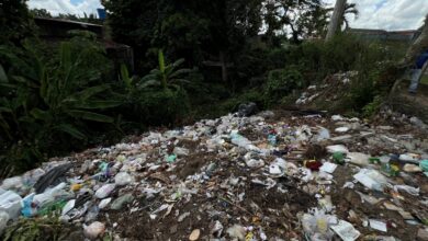 En Brisas del Guarapiche proponen nuevos proyectos para eliminar basurero