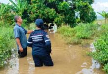 El río Amana volvió a su cauce y mantienen monitoreo por lluvias