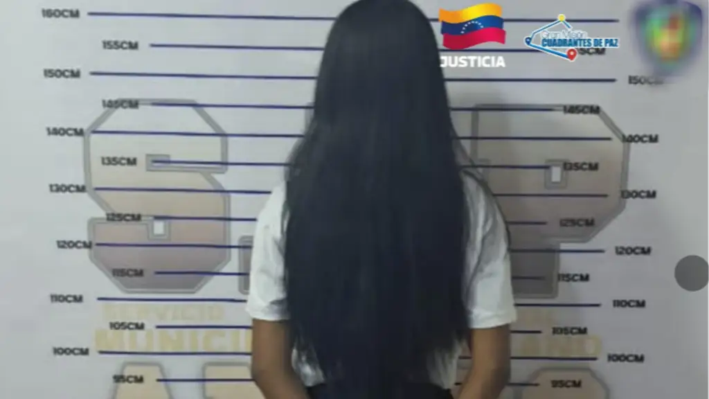 Detenida por estafar con un "Susu" en dólares