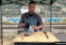 El lobo marino "Ben", la mascota viral de un vendedor venezolano en Chile