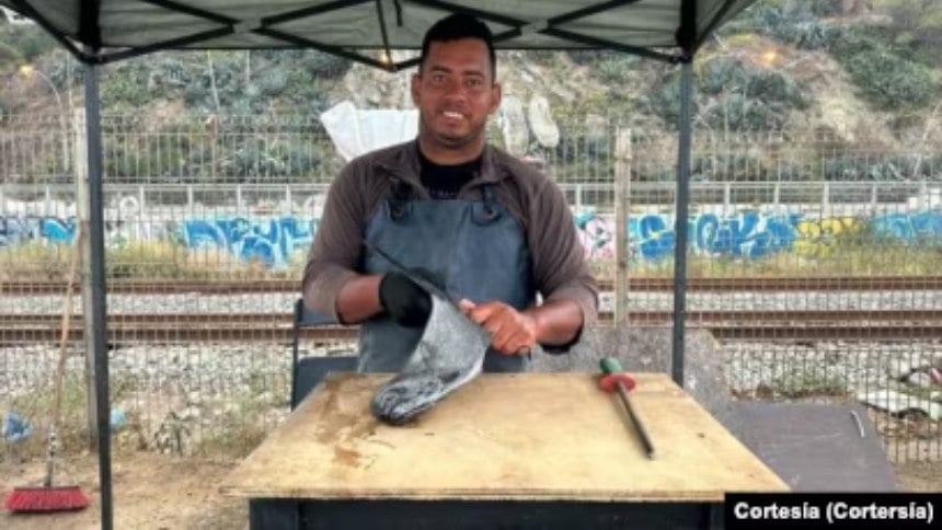 El lobo marino "Ben", la mascota viral de un vendedor venezolano en Chile