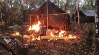 FANB destruye campamento de minería ilegal en Amazonas