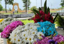 Vendedores de flores listos para la conmemoración de los difuntos