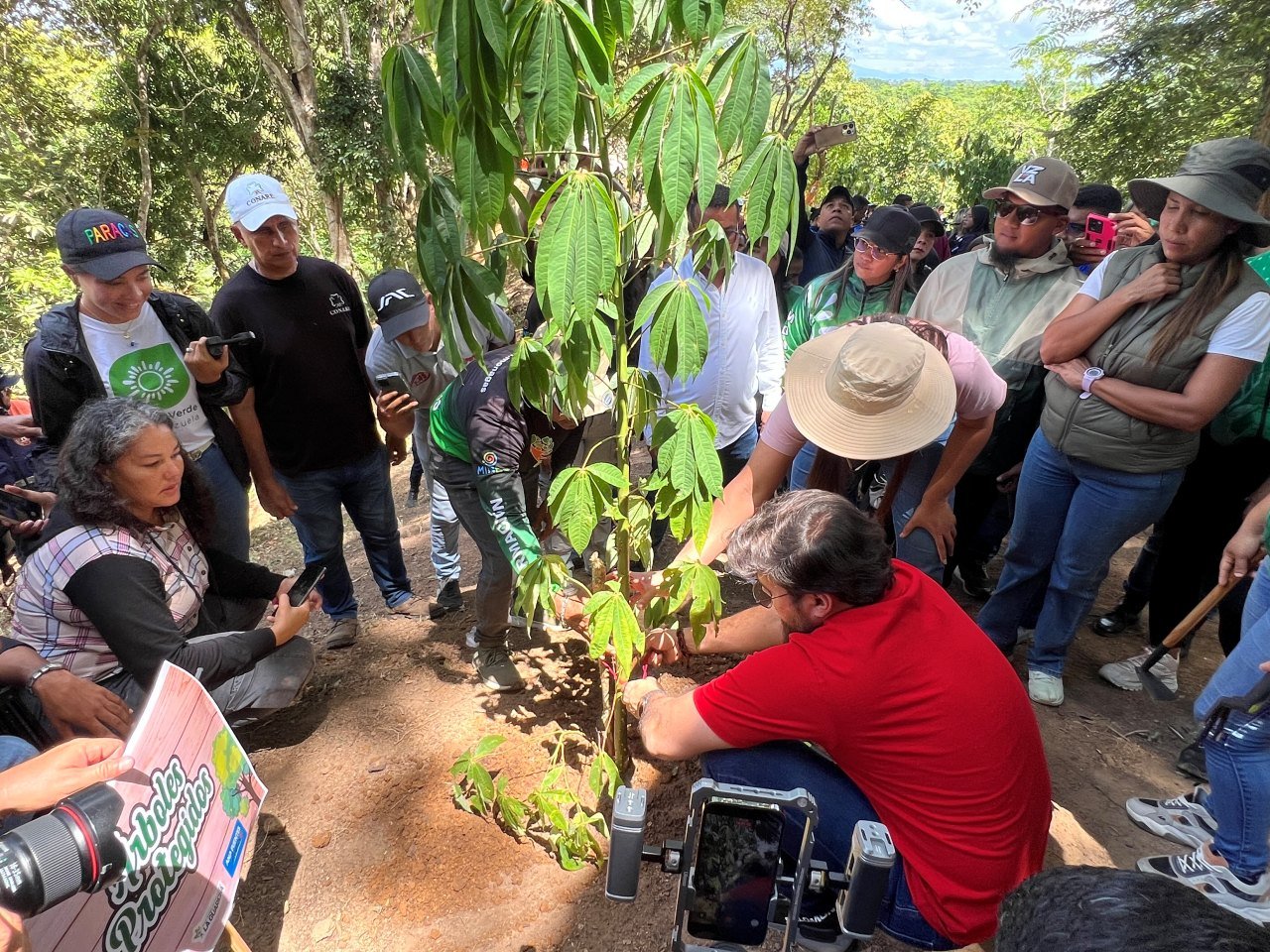 Siembran más de 600 árboles en el municipio Maturín
