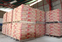 Maduro exige precio justo para el cemento nacional