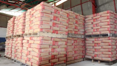 Maduro exige precio justo para el cemento nacional