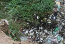Malos olores y plagas por animales muertos perjudican a más de 40 vecino en Araguaney II