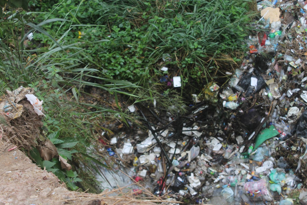 Malos olores y plagas por animales muertos perjudican a más de 40 vecino en Araguaney II