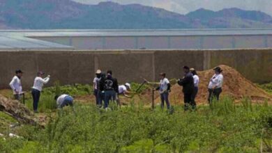 México: Encuentran 48 bolsas con restos humanos en fosa clandestina