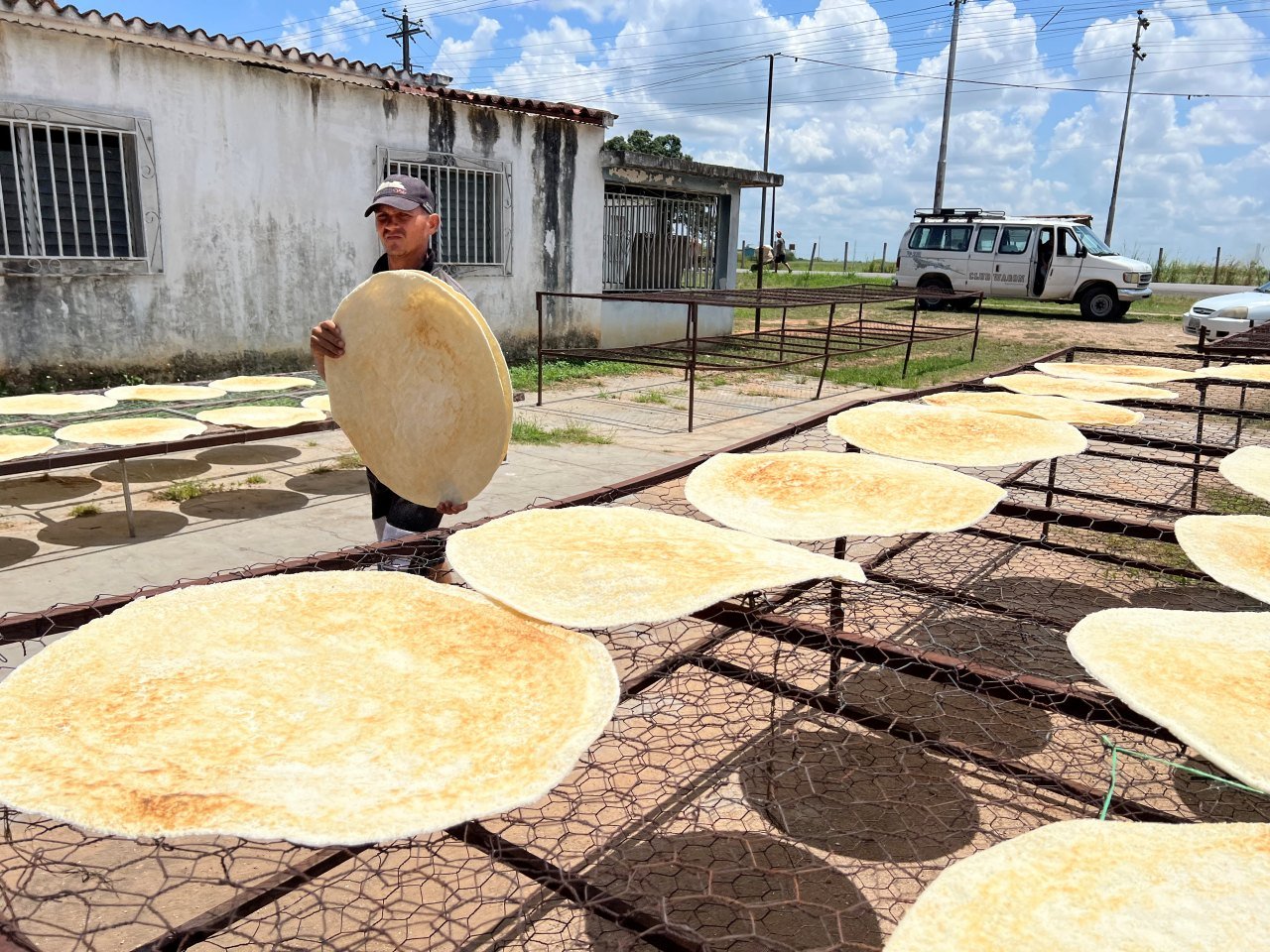 Dueños de casaberas de Costo Abajo reportan 30 % de producción