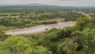 Crecida del río Amana deja 22 familias damnificadas, pérdidas de animales y sembradíos en Anzoátegui