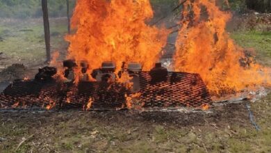 FANB destruye siete campamentos y detienen a cuatro sujetos en Amazonas