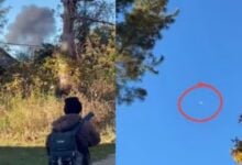 Tres mexicanos fallecidos al estrellarse avioneta privada en un bosque de Michigan