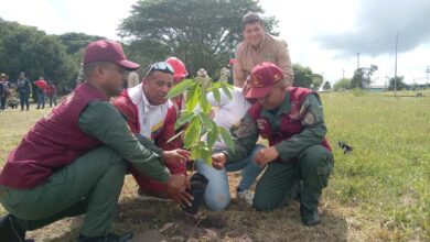 Realizan jornada de reforestación en el Parque Las Garzas de Ezequiel Zamora