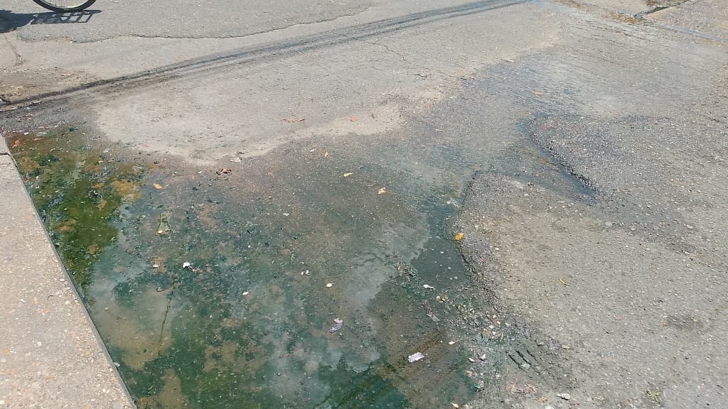 Bote de cloacas afecta a más de 10 comerciantes del Mercado Viejo