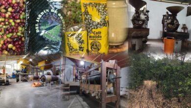 Caripe, el Jardín de Oriente, se alista para la Expo Flor y Café del 13 al 16 de noviembre