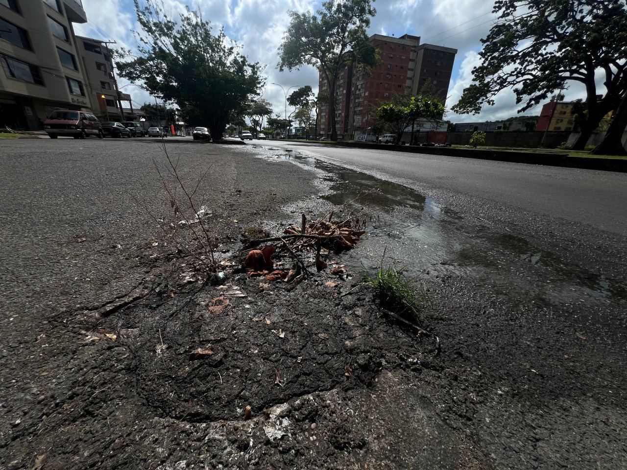 Vecinos del edificio El Tama reportan desborde de aguas negras en la avenida Libertador
