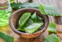Por qué el aloe vera es esencial en la rutina diaria para combatir los signos del envejecimiento